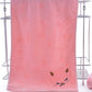 Bamboo Fiber Kitten Face Bath Towels