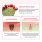 Dr.Melaxin CACTOX Pore Relief Dual Capsule Cream